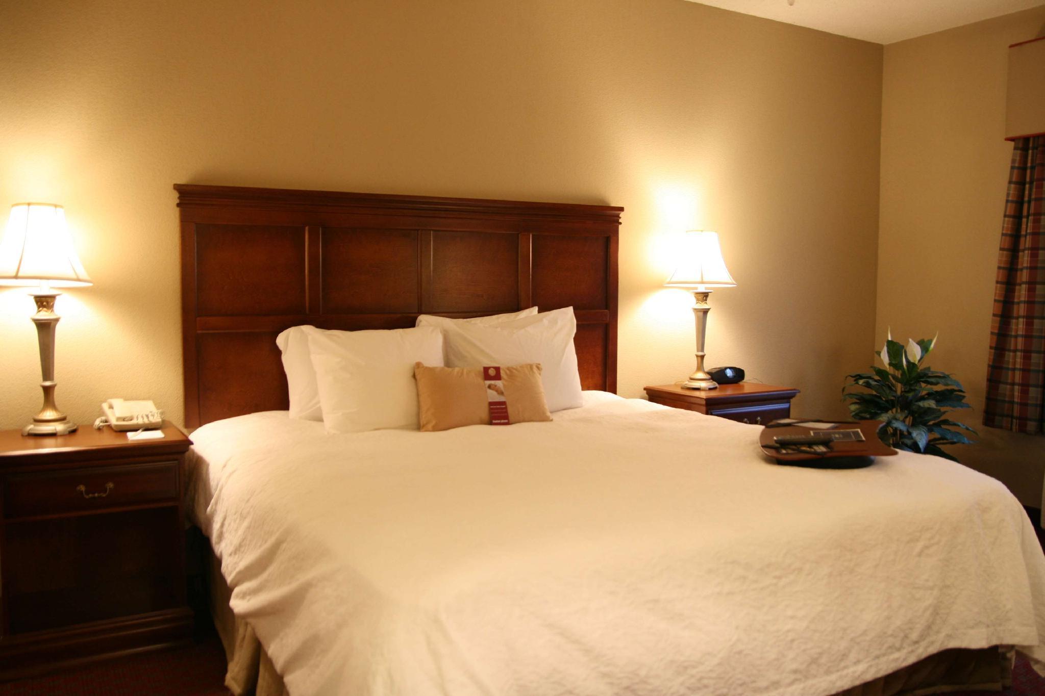 Hampton Inn & Suites Montgomery-Eastchase Værelse billede